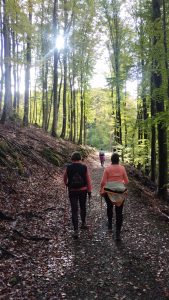 Nordic Walking