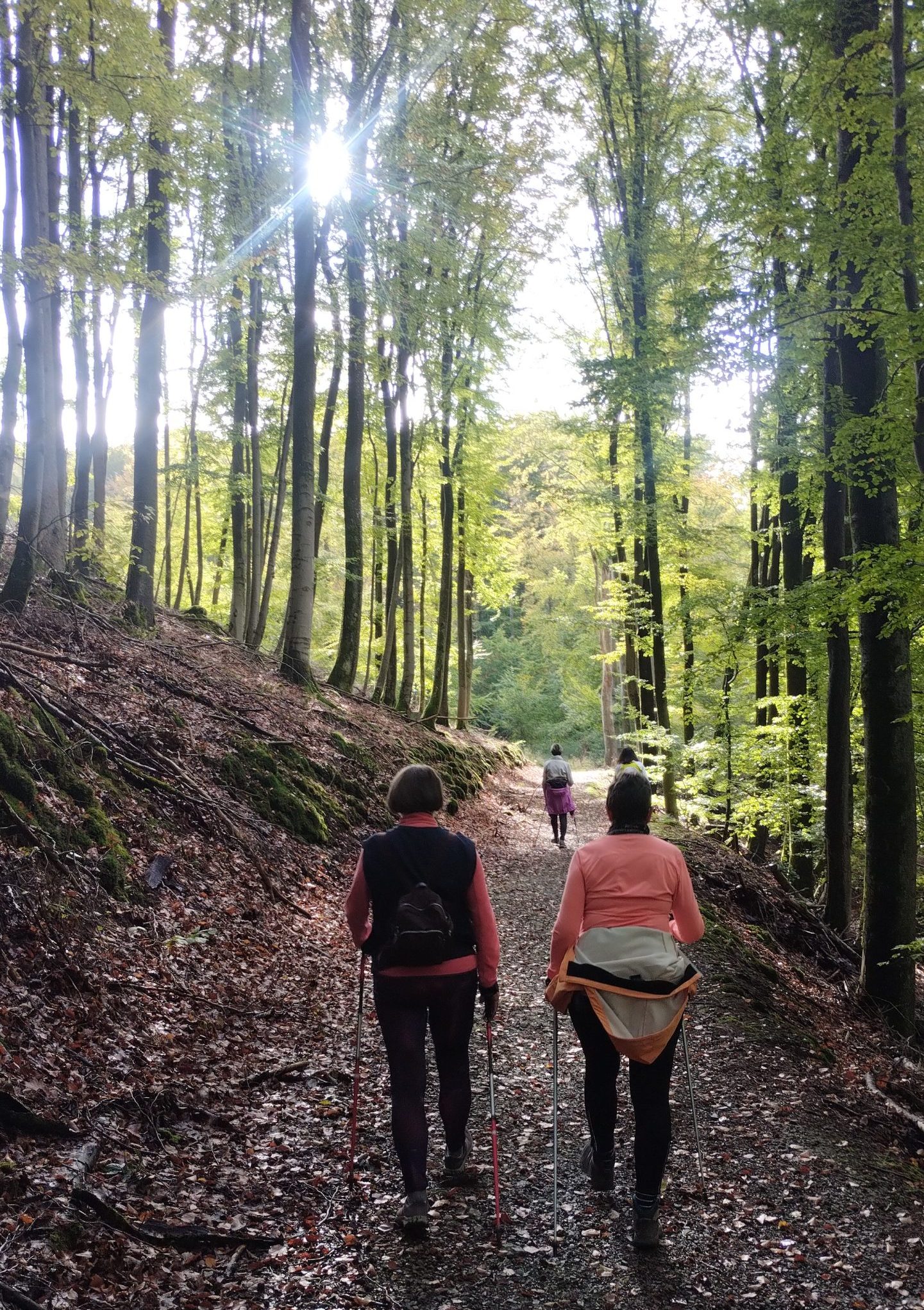 Nordic Walking Nordic Walking
